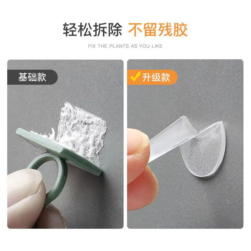 Thiết bị cố định hiện vật leo tường cây xanh kẹp leo cây xanh kẹp liền mạch không làm hỏng móc treo tường