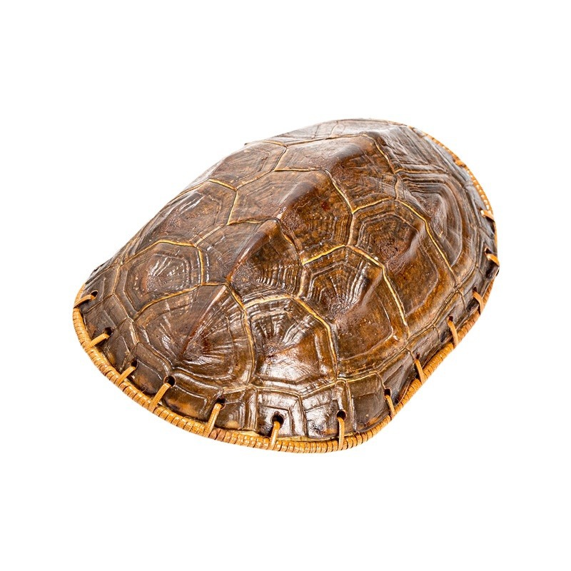 Bán buôn vỏ rùa tre đan trà rùa mai rùa tre khăn lau trà trà bánh trà đánh giá cao trà đánh thức trà bộ dụng cụ trà thú cưng trà tre phụ kiện trà đạo