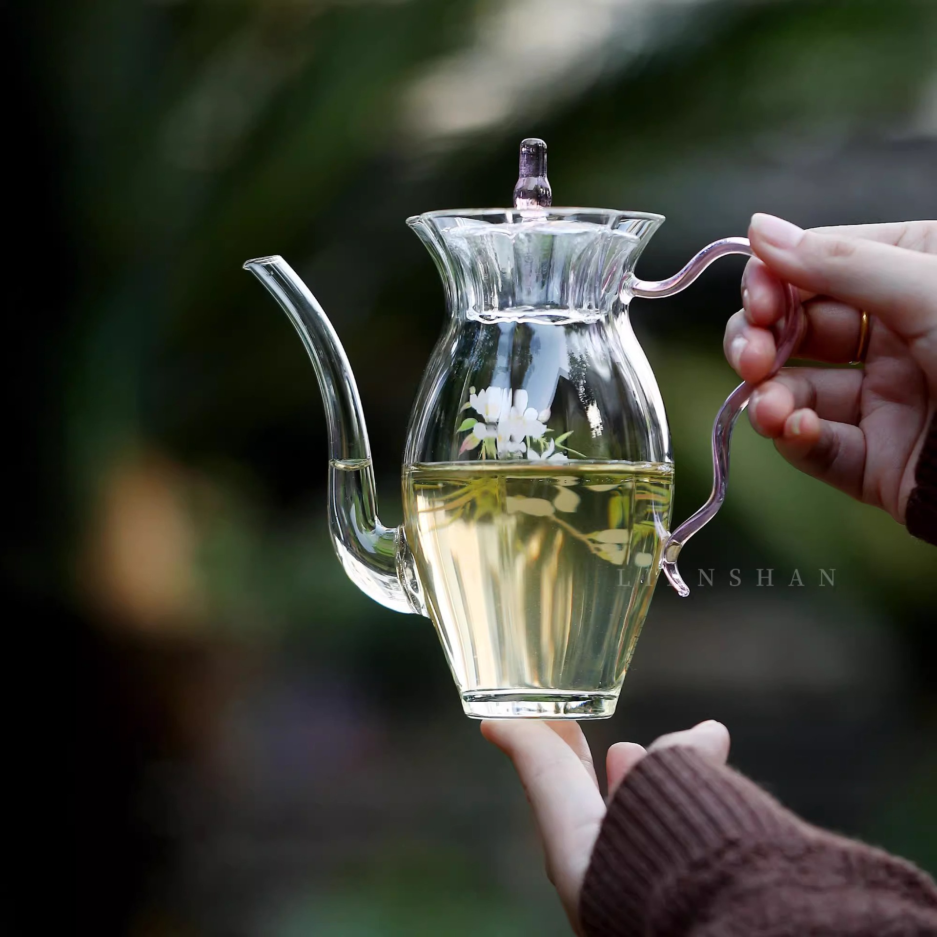 Ấm Thủy Tiên kiểu Trung Quốc ấm sinh học thủy tinh borosilicate chịu nhiệt ấm cầm tay gia dụng nhỏ tươi mát ấm trà xanh ấm pha lạnh