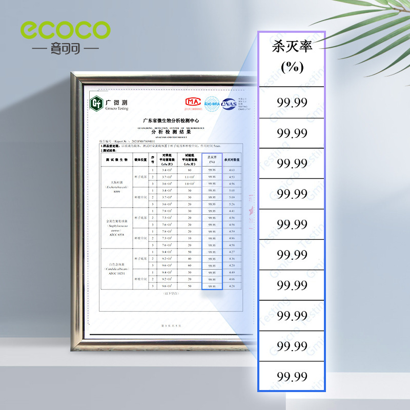 Máy tiệt trùng bàn chải đánh răng ecoco, cốc đánh răng thông minh, Giá treo cốc răng điện treo tường, Giá để đồ