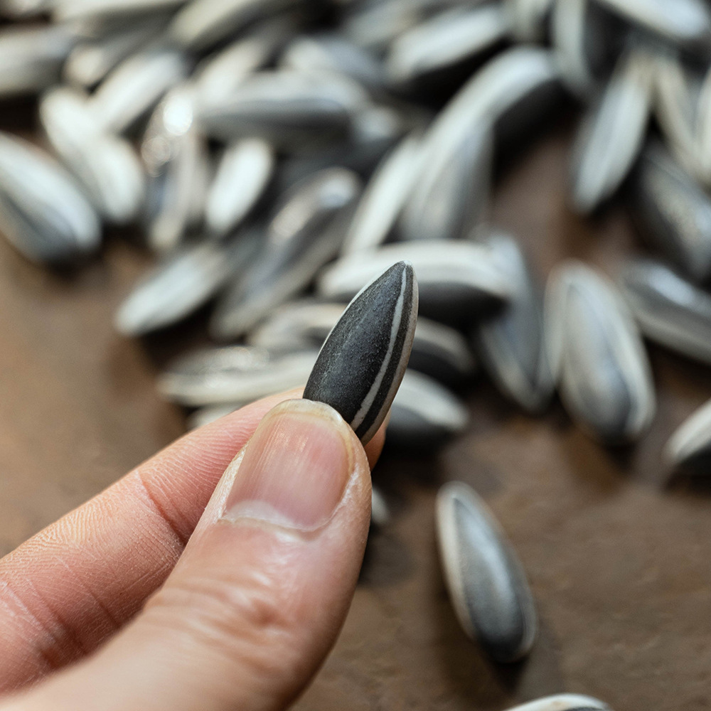 Vật nuôi trà cát tím hạt dưa thủ công sáng tạo cá tính hạt dưa hấu Bộ trà trái cây trang trí đồ trang trí nhỏ bán buôn điêu khắc Yixing