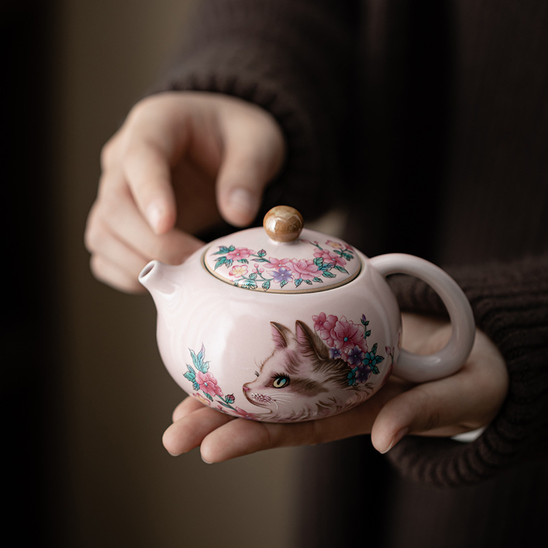 Ấm pha trà lọc gốm sứ có thể nuôi được, ấm hình cánh hoa, ấm Xixi, ấm cầm tay, ấm đơn, hộp quà