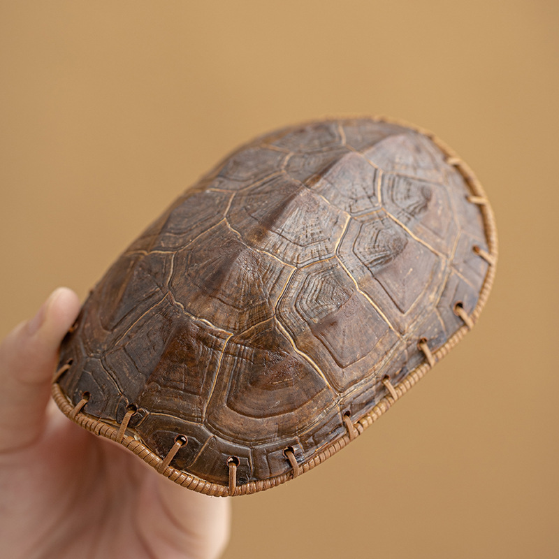 Bán buôn vỏ rùa tre đan trà rùa mai rùa tre khăn lau trà trà bánh trà đánh giá cao trà đánh thức trà bộ dụng cụ trà thú cưng trà tre phụ kiện trà đạo