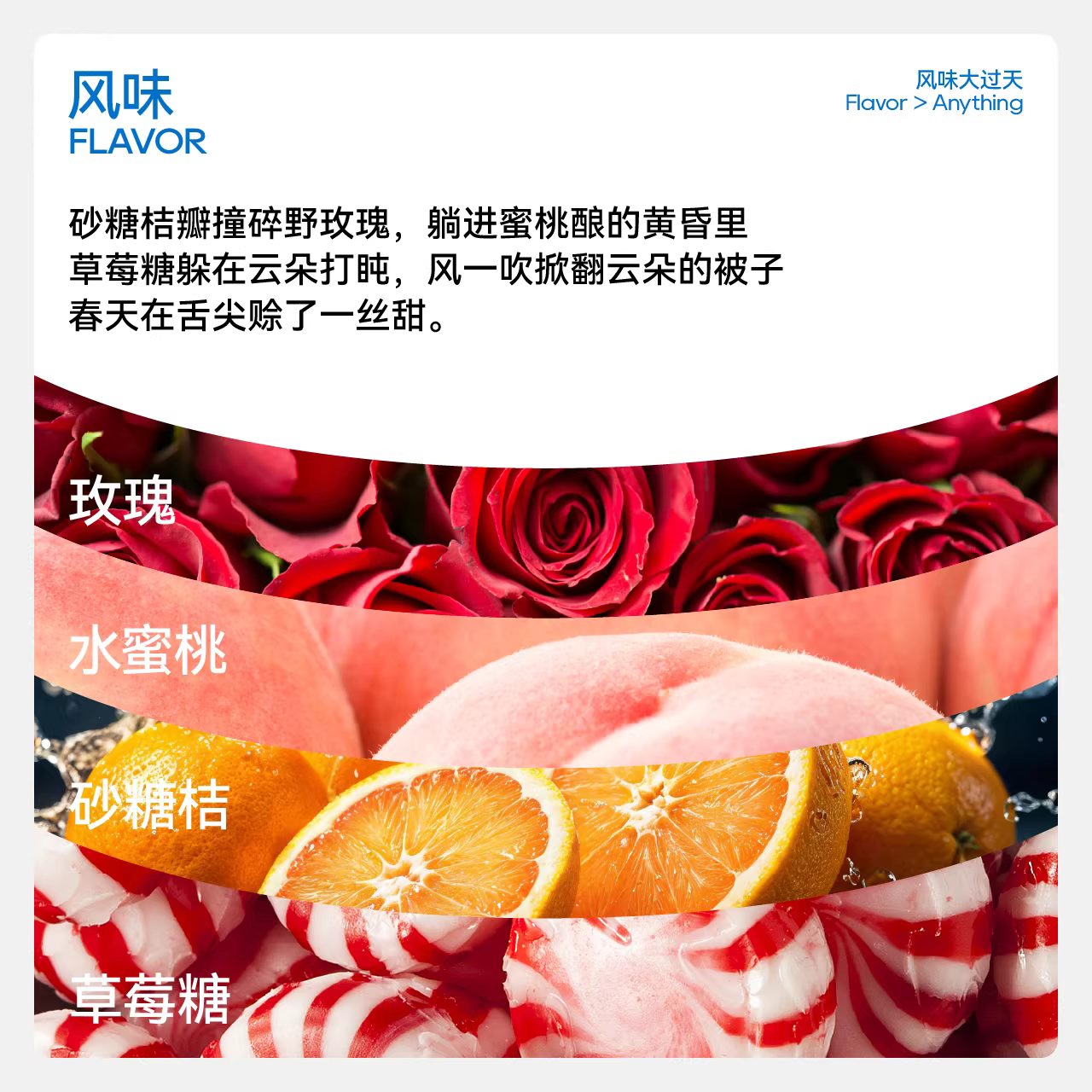 Một Ví Mẫu | Hạt Cà Phê Xay Tay Cao Cấp Flower Queen Xs Ethiopia Habera Phiên Bản Kỷ Niệm 10 Năm 9.0