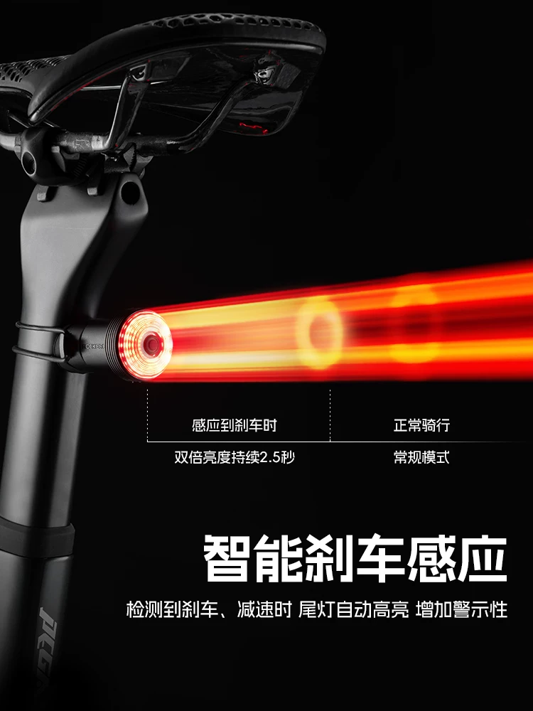 Đèn hậu xe đạp leo núi Rock Brothers đi đêm cảm biến phanh đèn trẻ em phụ kiện thiết bị đạp xe