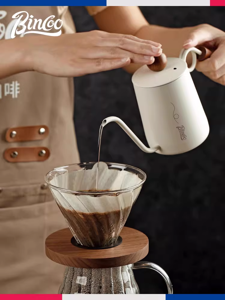 Ấm pha cà phê thủ công Bincoo, ấm nhỏ mini di động có vòi dài miệng hẹp, ấm pha cà phê bằng thép không gỉ.