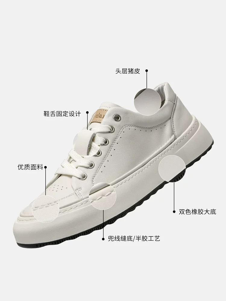 Giày nam Maple Leaf Giày thể thao màu trắng Giày thể thao nam phong cách retro Anh Quốc Giày thể thao nam mới hợp thời trang đa năng Giày đơn giản Giày cổ thấp