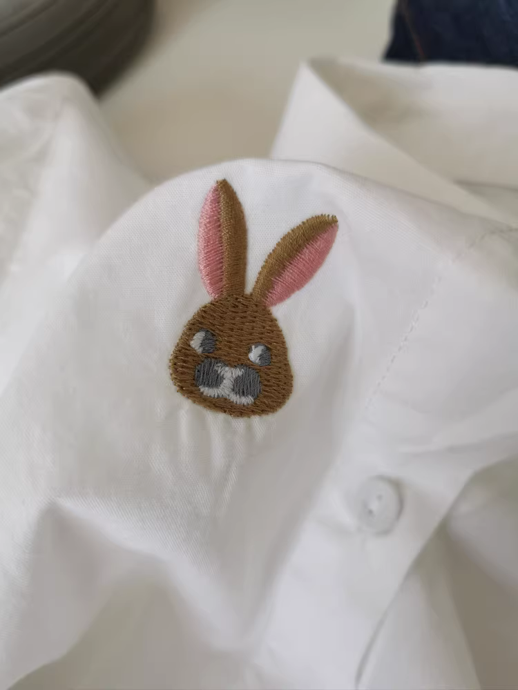 Áo sơ mi thêu trắng dài tay, dáng rộng, trang trí ba chiều, mặc thường ngày cho nữ mùa xuân