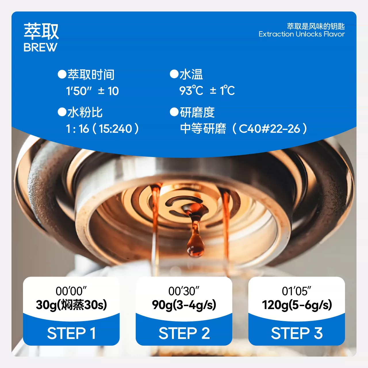 Một ví dụ | Hạt cà phê đặc sản Tala Beans Enzyme Washed của Goddess Manor Gesha Costa Rica, rang xay thủ công