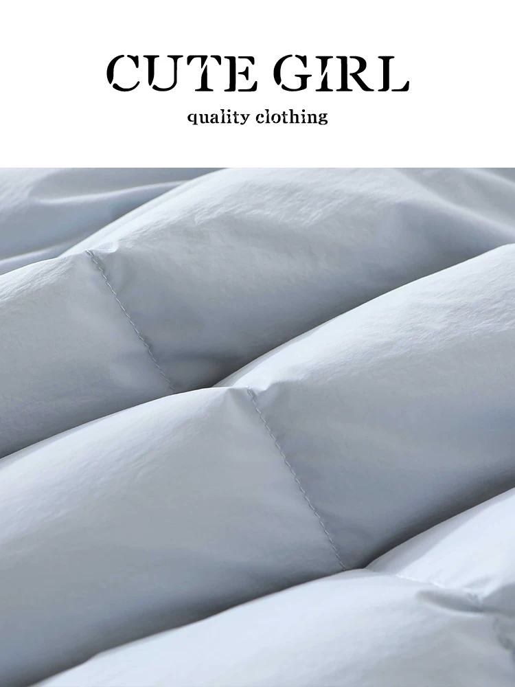 Áo khoác lông vũ có cổ đứng màu xanh lam phong cách Hàn Quốc dành cho nữ, mùa thu đông, áo khoác cotton ngắn thanh lịch, rộng rãi, đa năng.