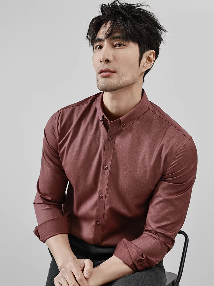 Áo sơ mi chất liệu sợi tre dành cho nam, tay dài, trang phục công sở cao cấp, đa năng, trưởng thành, ổn định, phong cách trưởng thành nhẹ nhàng, áo lót lông cừu