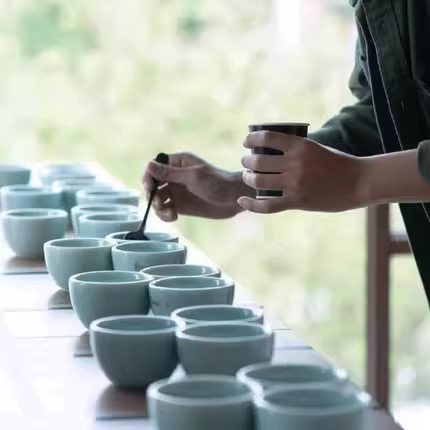 Bát pha cà phê tiêu chuẩn SCAA của Brewista dành cho cuộc thi pha cà phê thủ công, bát gốm dùng để nếm và đánh giá