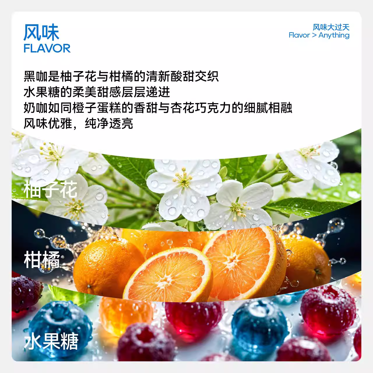 Một ví dụ | Gesha đã rửa sạch hạt cà phê espresso đặc sản Ethiopia nguyên chất SOE 227g