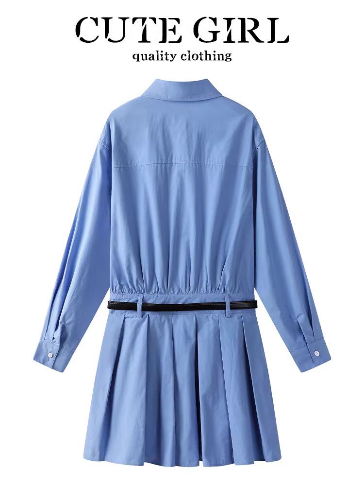 Váy xanh thêu gió phong cách Hàn Quốc dành cho nữ, váy sơ mi xếp ly giảm tuổi xuân sang trọng