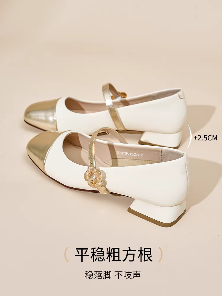 Giày Mary Jane đế thô Dadong dành cho nữ, mẫu mới thu 2025, giày nữ đế thấp phối chân váy, giày mũi vuông thanh lịch, kiểu dáng đơn giản.