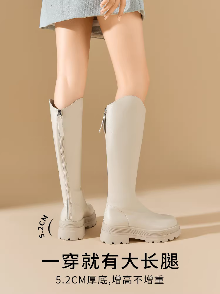 Giày cao cổ Dadong dành cho nữ 2025, mẫu mới thu đông, lót lông, đế dày, kiểu ngắn, màu đen, kiểu dài.