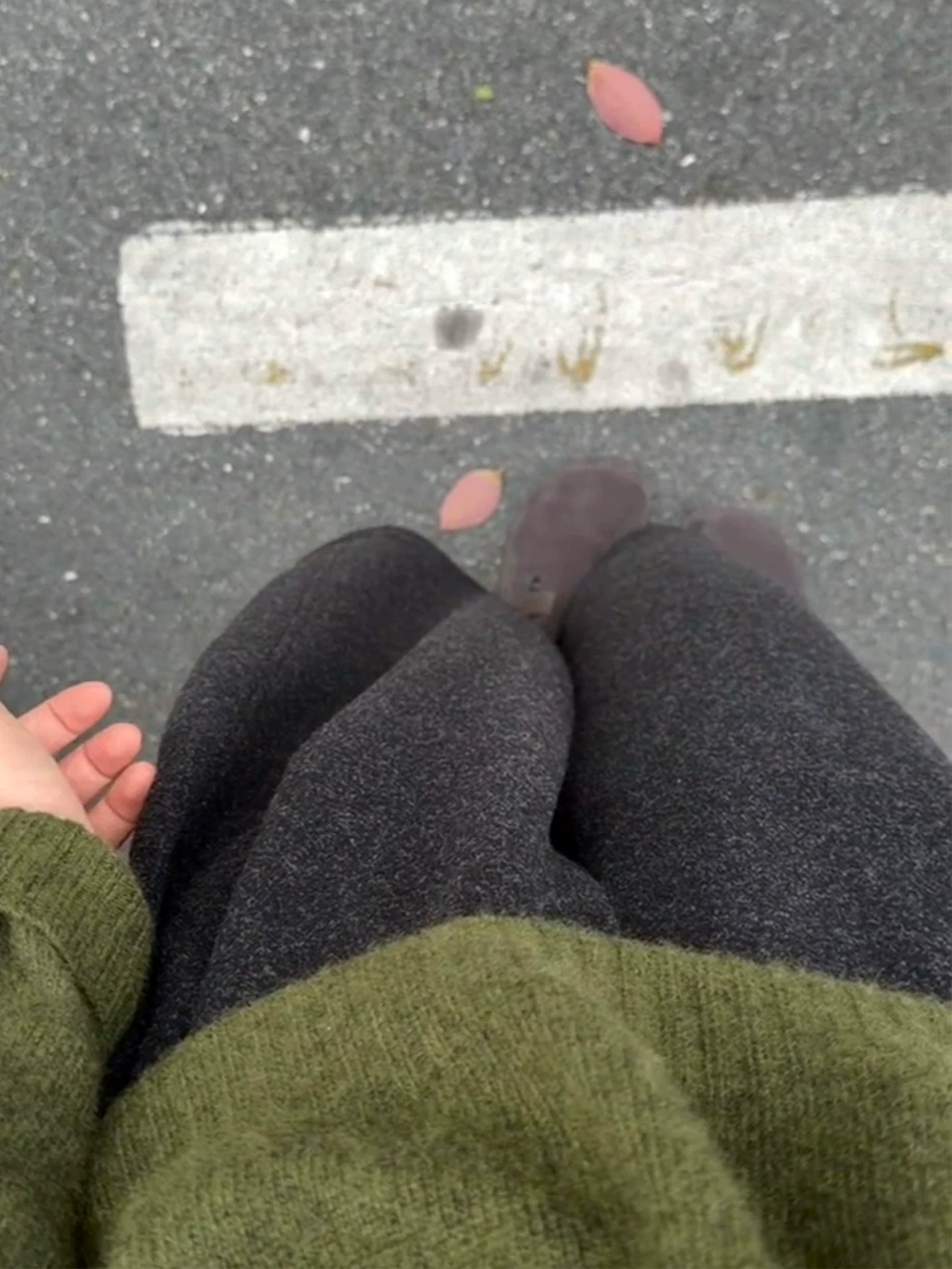 Quần ống rộng bằng len cho nữ, mùa thu đông, lót lông cừu, cỡ lớn, lưng cao, giảm béo, nhỏ nhắn, quần cắt kiểu dao thường ngày