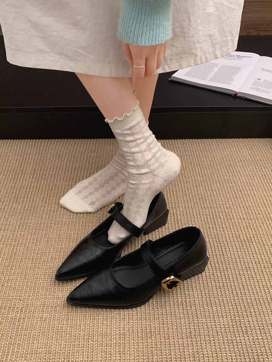 Giày cao gót chunky mũi nhọn đế thấp dành cho nữ, mẫu mới thu đông 2025, kiểu Mary Jane đa năng phong cách Pháp.