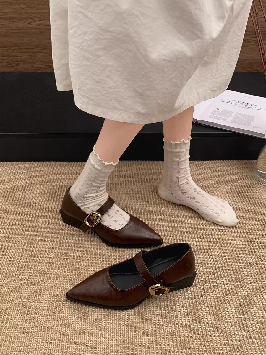 Giày cao gót chunky mũi nhọn đế thấp dành cho nữ, mẫu mới thu đông 2025, kiểu Mary Jane đa năng phong cách Pháp.