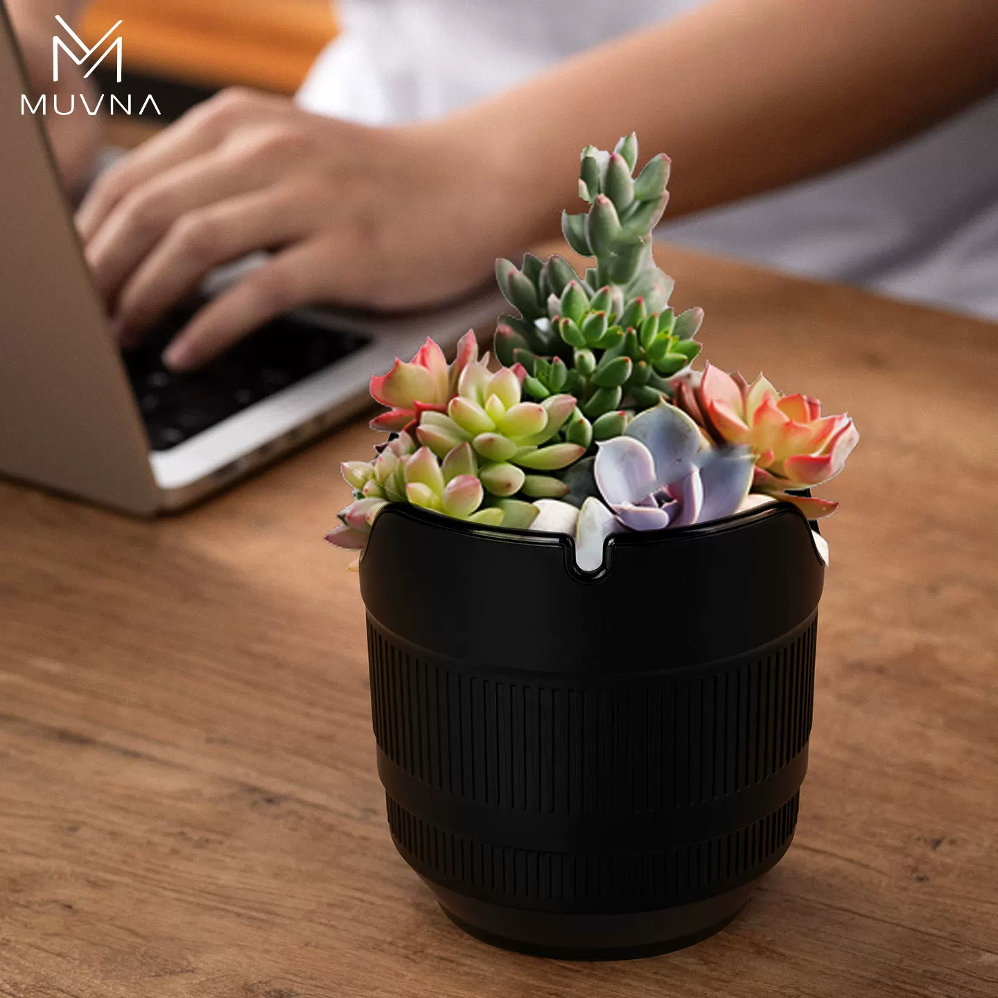 Hộp đựng bã cà phê MUVNA dùng cho cà phê pha kiểu pour-over, giấy lọc V60, hộp đựng bã cà phê, bình đựng, gạt tàn, chậu cây xanh