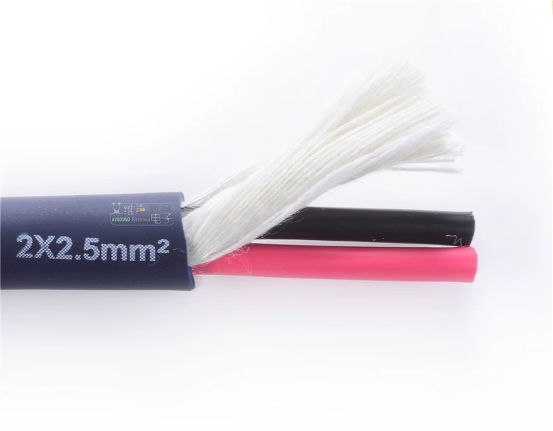 Cáp loa âm thanh Risheng 2*2.5 vuông x dành cho kỹ thuật sân khấu và biểu diễn di động, đồng không oxy 3070720151