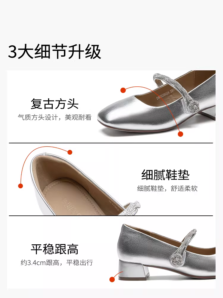 Giày cao gót đế thô bạc Dadong dành cho nữ, kiểu dáng thu mới 2025, phối cùng chân váy, giày Mary Jane kiểu Pháp sang trọng.