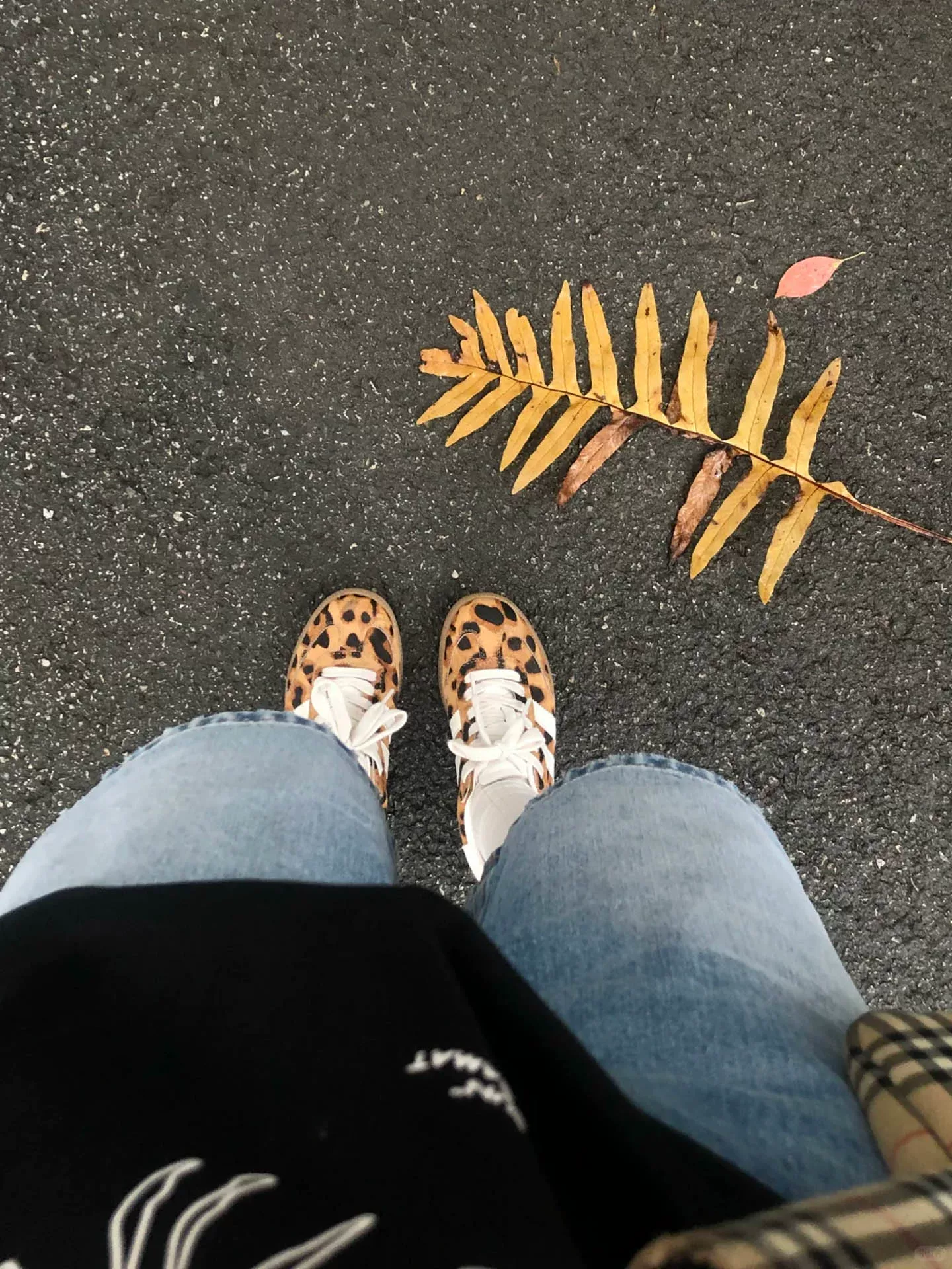 Quần short denim nữ mùa hè, size lớn, cạp cao, che hông, tôn dáng, dành cho người có thân hình quả lê, quần ống rộng dài ngang đùi