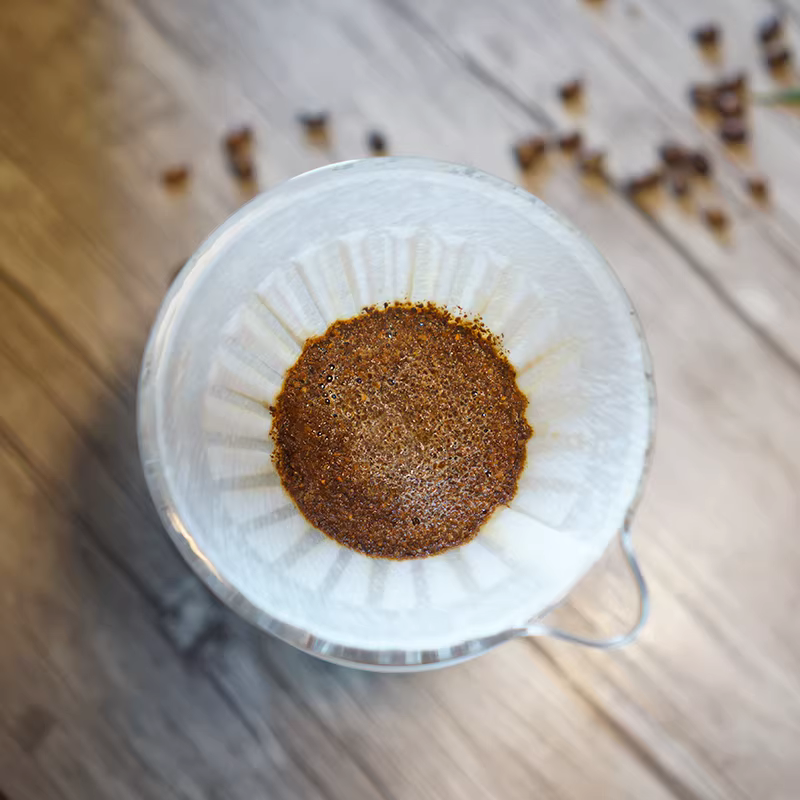 Taimo Bingtong Pour-over Filter Cup PC Resin V60 Bộ lọc nhỏ giọt hình nón Bình cà phê gia dụng Thiết bị pha cà phê