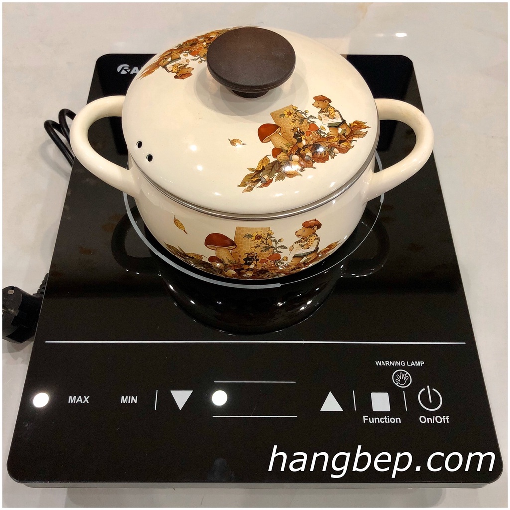 Bếp hồng ngoại cảm ứng 2000W Rapido RC2000ES - Thương hiệu Đức - Không kén nồi, chảo - Hàng Bếp 3B