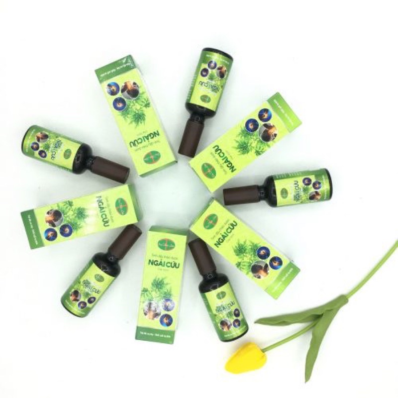 Tinh dầu ngải cứu Dạ Thảo Liên- Xoa bóp xương khớp + tặng con lăn