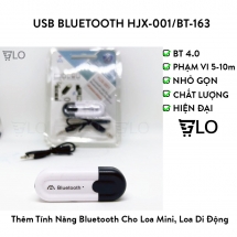 USB Bluetooth HJX-001/BT-163 Tạo Bluetooth Cho Loa & Amply