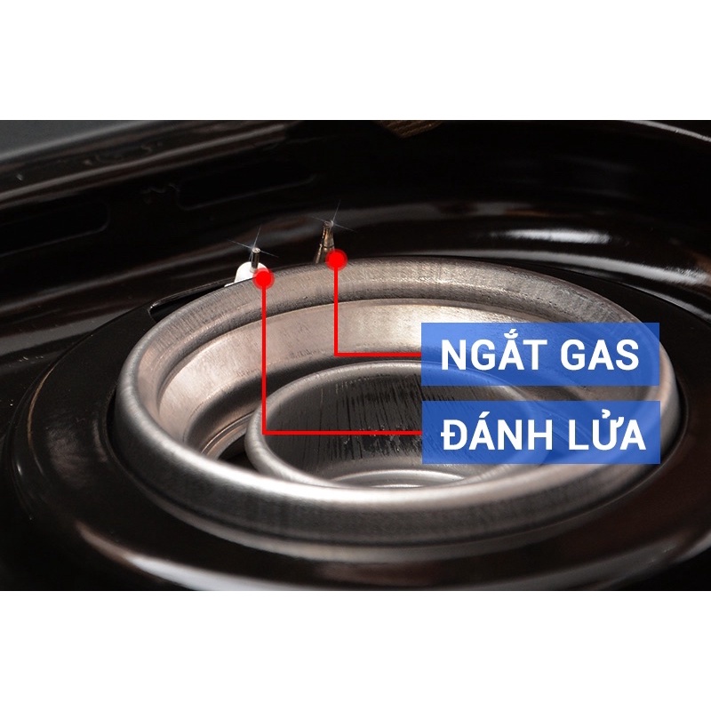BẾP GAS ĐÔI PALOMA PA-7PEJ - HÀNG NHẬP KHẨU TỪ NHẬT BẢN, CHÍNH HÃNG 100%