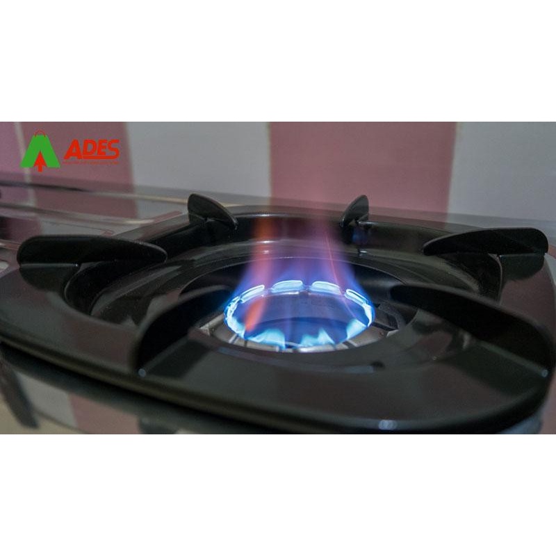 Bếp gas đôi 7 tấc Rinnai RI-602DI, Đầu đốt lửa trong (Nhập khẩu chính hãng INDONESIA)