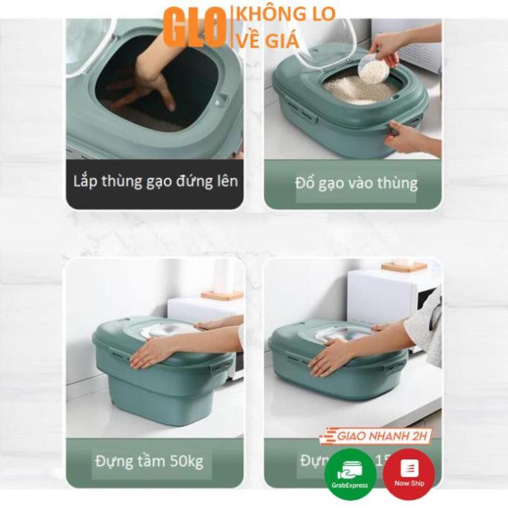 Thùng Đựng Gạo Gấp Gọn Thông Minh Đựng Tối Đa 25kg, Chống Côn Trùng Bụi Bẩn