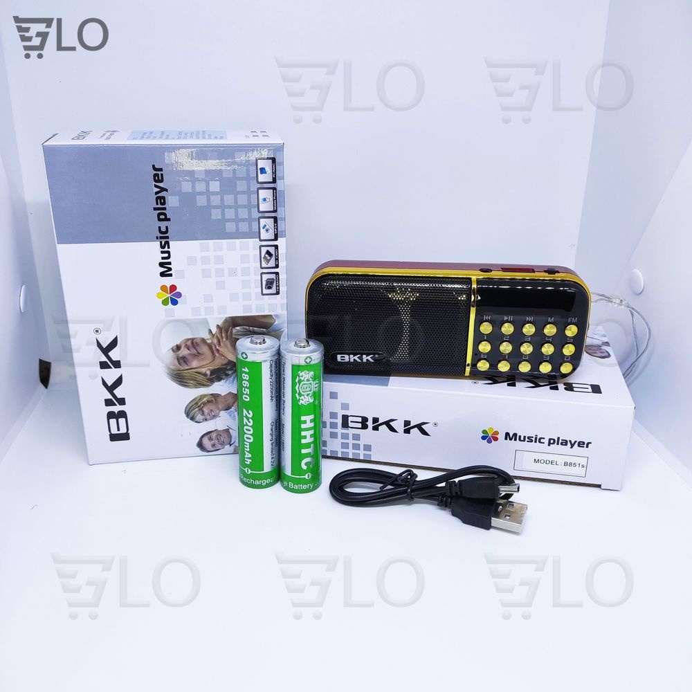 Loa Nghe Pháp, Kinh Phật, Tắm Ngôn Ngữ BKK K39 K51 B851 B851S, Nghe Thẻ Nhớ, USB, FM Radio, Có Jack Tai Nghe