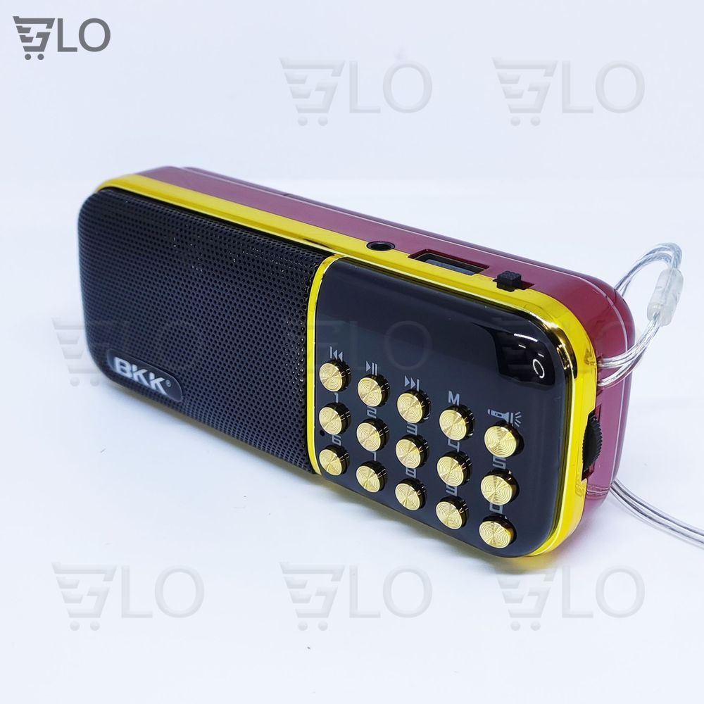 Loa Nghe Pháp, Kinh Phật, Tắm Ngôn Ngữ BKK K39 K51 B851 B851S, Nghe Thẻ Nhớ, USB, FM Radio, Có Jack Tai Nghe