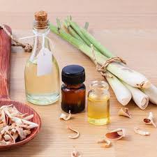 Combo 4 Tinh Dầu Tặng 1 Lọ Tinh Dầu ( Có Thể Chọn Mùi )Hoặc nhẫu nhiên.