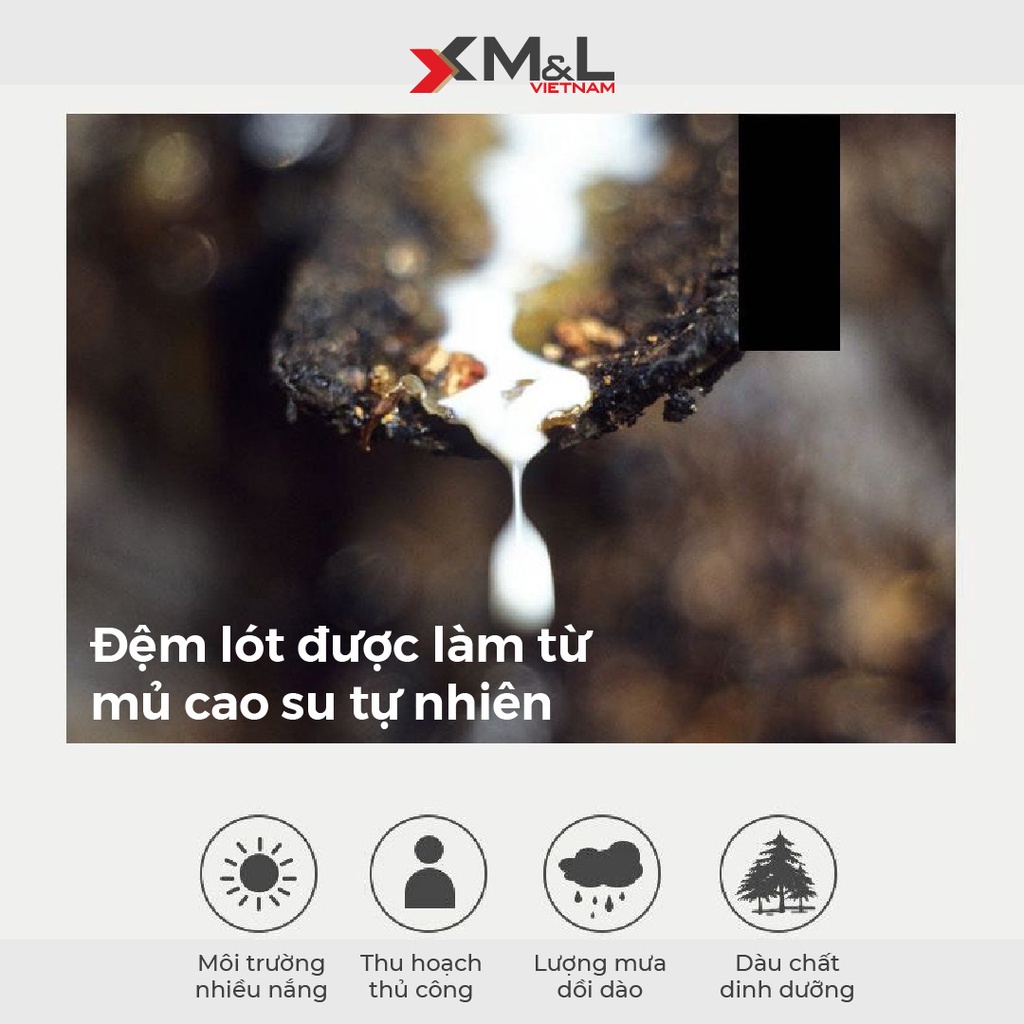 Chiếu điều hòa kèm 2 áo gối - lụa Nano lót cao su non - Tencel Latex M&L CM1