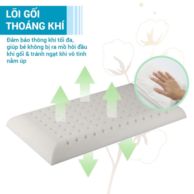 Gối cao su non Cotton hữu cơ ( Organic Cotton) có lỗ chống ngạt cho bé Comfybaby CF06201 chứng nhận GOTS toàn cầu
