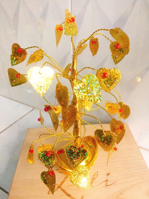 Tim vàng chưng tết