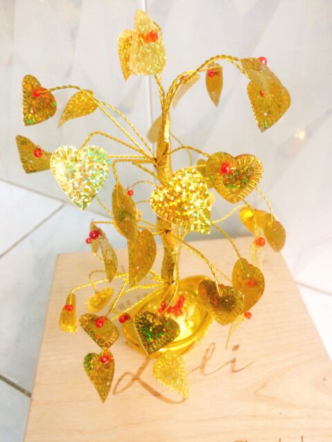 Tim vàng chưng tết