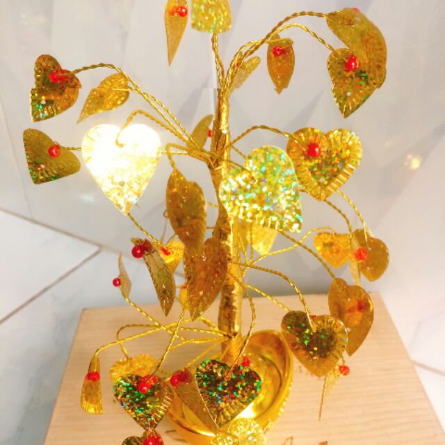 Tim vàng chưng tết