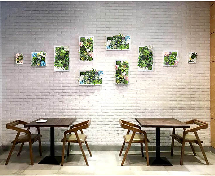 Khung hoa giả treo tường Ideaco XKXR01.