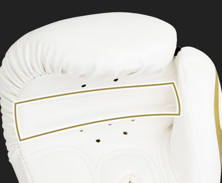 Găng tay đấm bốc găng boxing Billna BN6510