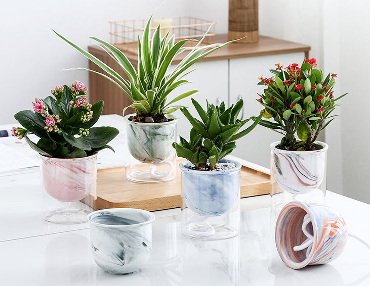 Chậu hoa chậu cây để bàn sứ thủy tinh Qing QG001