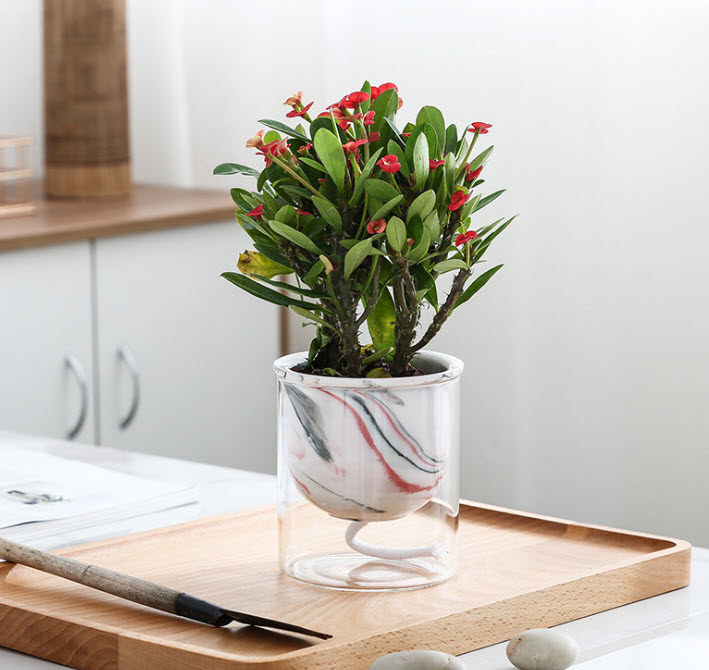 Chậu hoa chậu cây để bàn sứ thủy tinh Qing QG001