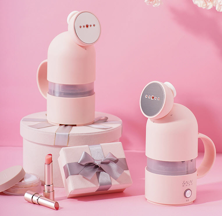 Bàn ủi hơi nước cầm tay Salav SL001